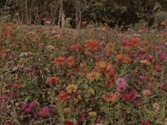 -盘龙城国家考古遗址公园