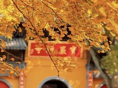 -虞山风景区