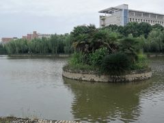-武汉交通职业学院