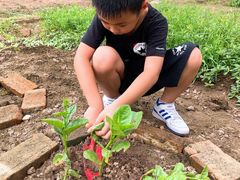 -前小桔亲子创意农场·草莓采摘·露营烧烤