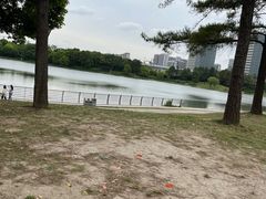 -美兰湖景区