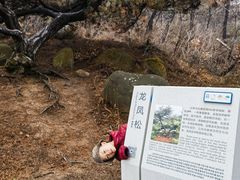 -沂蒙山旅游区云蒙景区(蒙山国家森林公园)