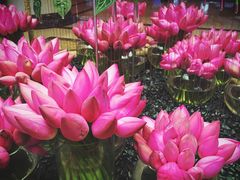 大堂每次每月都在变的主题花艺-北京中国大饭店