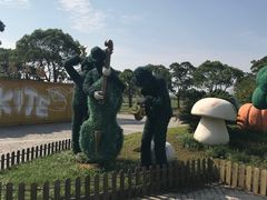 -上海都市菜园