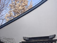 -上海醉白池公园