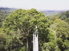 -乌鲁淡布隆国家公园