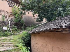-杨家堂村