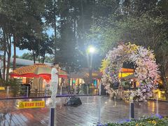 -二荆条·蜀鲜汇城市森林火锅