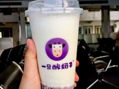 -一只酸奶牛(八一路店)