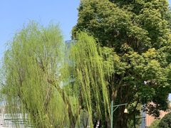 -后襄河公园