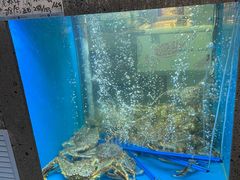 -鲜味食族水产·海鲜餐厅