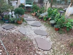 -Jo's Garden