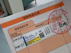 -佳怡动物医院·平价24小时·猫专科骨外科