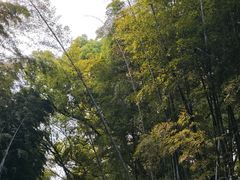 -同里国家湿地公园