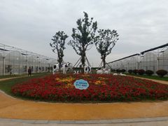 -上膳源有机农场