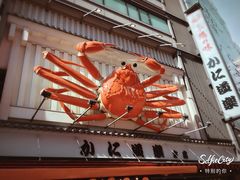 -蟹道乐(道顿堀本店)