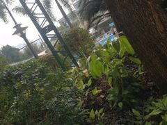 -碧水湾温泉