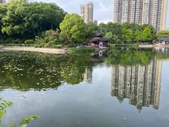 -和平公园