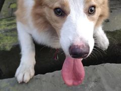 -三圣花乡旅游区