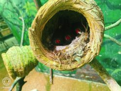 -Zoolung Zoolung动物主题公园(海信广场店)