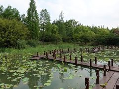 -苏州金鸡湖大酒店