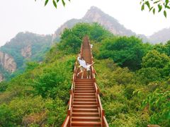 -大岭沟猕猴桃谷风景区