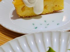 -猫里有甜