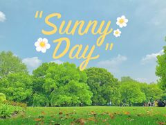 -上海共青森林公园