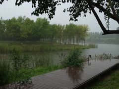 -东郊湿地公园