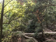 -白鹿洞书院