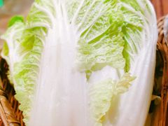 娃娃菜-小板凳(四公里店)