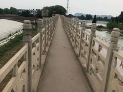 -东方巨龟苑景区