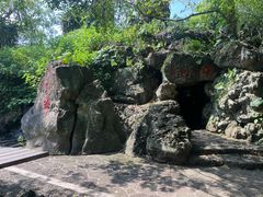 -海口火山口国家地质公园
