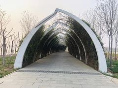 -天津东丽湖风景区