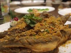 -骏莱海鲜鱼港(五角场店)