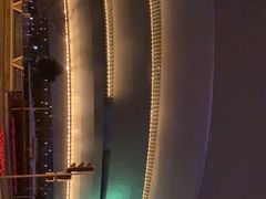 -成都金融城演艺中心