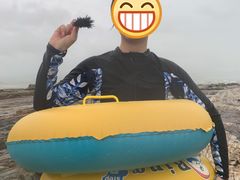 -盐洲岛