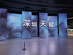 -深圳市当代艺术与城市规划馆
