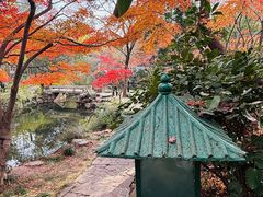 -秋霞圃