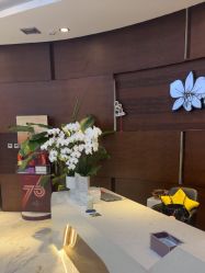 -洁铭新加坡医美