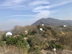 -紫金山天文台