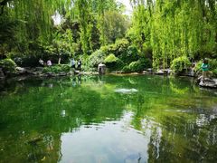 -济南大明湖景区