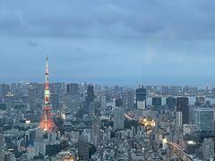 -六本木新城展望台(东京城市景观)