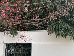 -石家庄市植物园