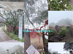 -广州市石门国家森林公园