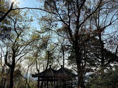 -广州市石门国家森林公园
