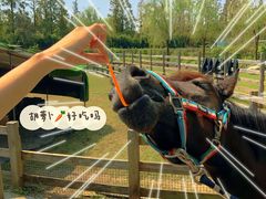 -前小桔亲子创意农场·草莓采摘·露营烧烤