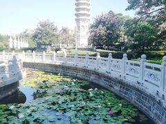-南普陀寺