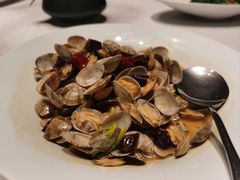 辣炒红岛花蛤-开海·红岛海鲜虾水饺(石老人店)