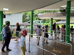 -圣淘沙天际线斜坡滑车